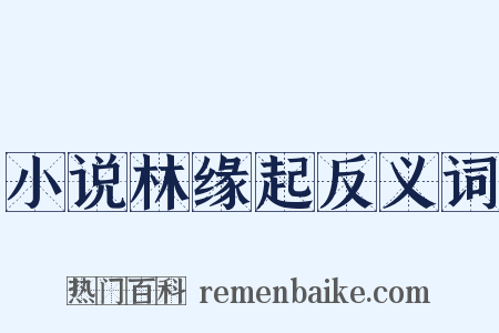 小说林缘起反义词是什么意思的图片